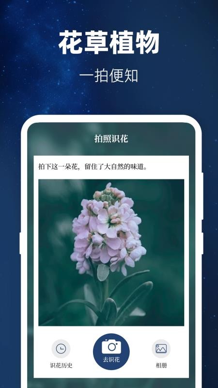 验钞工具Pro标准手电筒手机版v3.9.398(4)