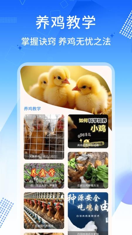 养鸡宝最新版v1.0.4(1)