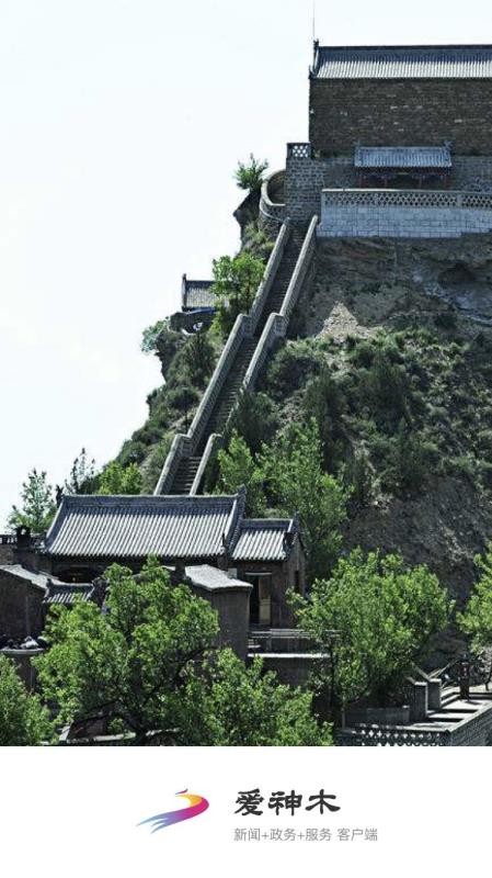 爱神木官网版(4)