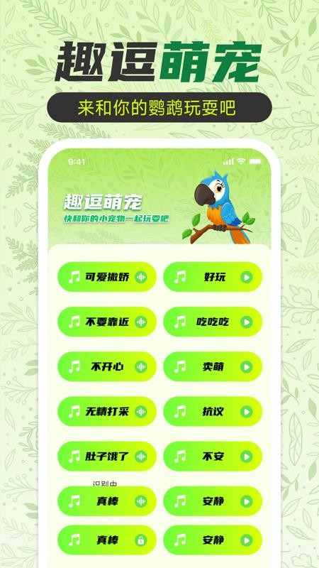 鹦鹉翻译助手免费版v1.0.0(3)