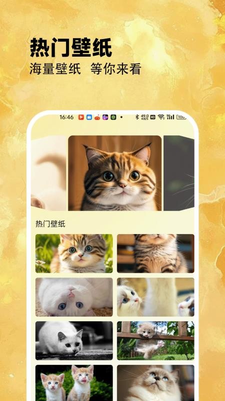 筑梦小猫舍最新版v1.7 3