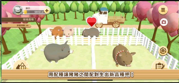 养猪场3D游戏(4)