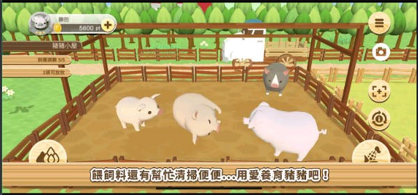养猪场3D游戏(2)