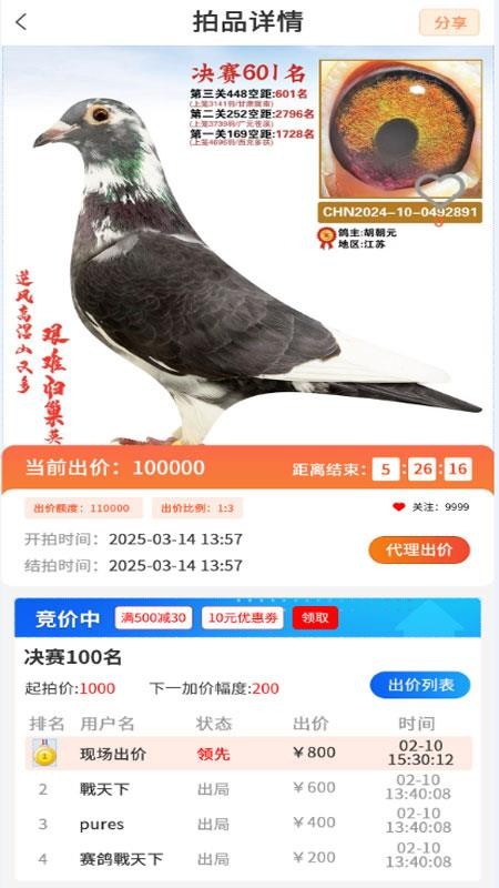 信鸽天堂官方版v3.1.3(1)