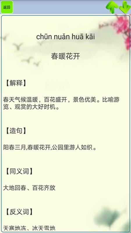 小学生成语最新版v1.35(1)