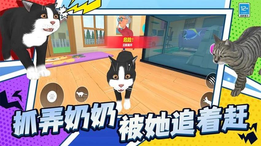 喵星人日常游戏v1.250916.169 4