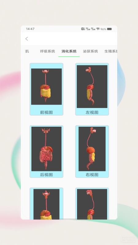 解剖图谱官方版v1.0 3