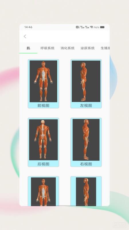 解剖图谱官方版