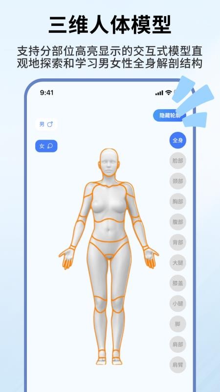 人体解剖学图谱最新版v1.0.4(2)