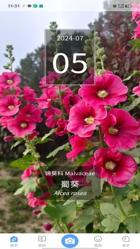 花伴侣专业版官网版v2.11.04 5