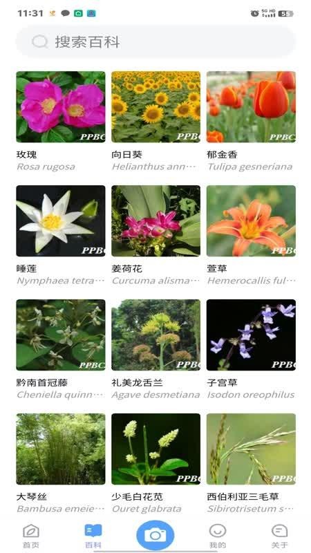 花伴侣专业版官网版v2.11.04 4
