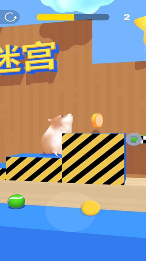 仓鼠迷宫游戏