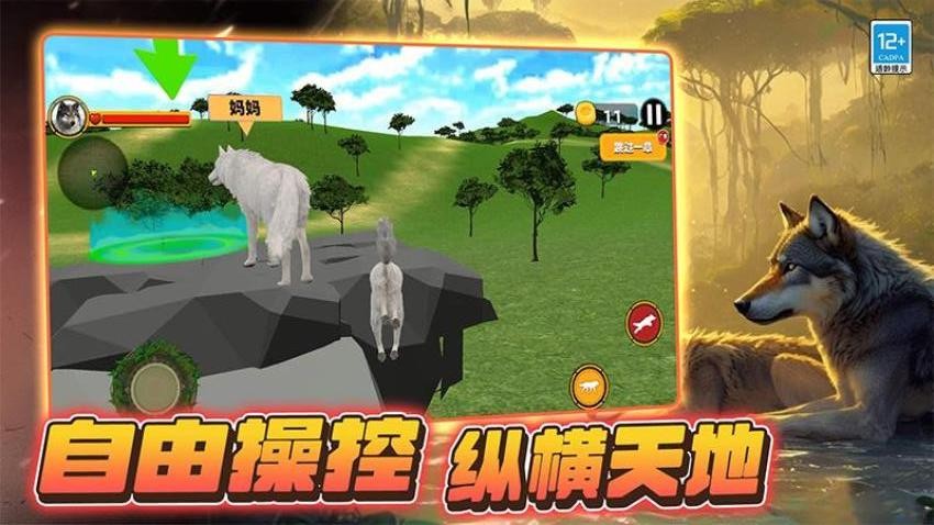 生存之王游戏v1.250916.169 4