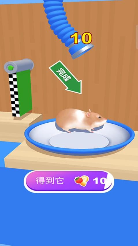 仓鼠迷宫游戏v187.1.1 4