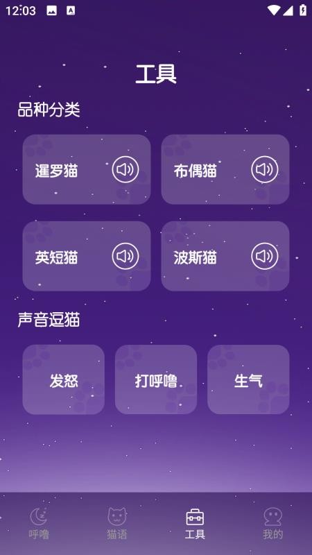 Fatty Cat肥猫官方版v1.0.0 3