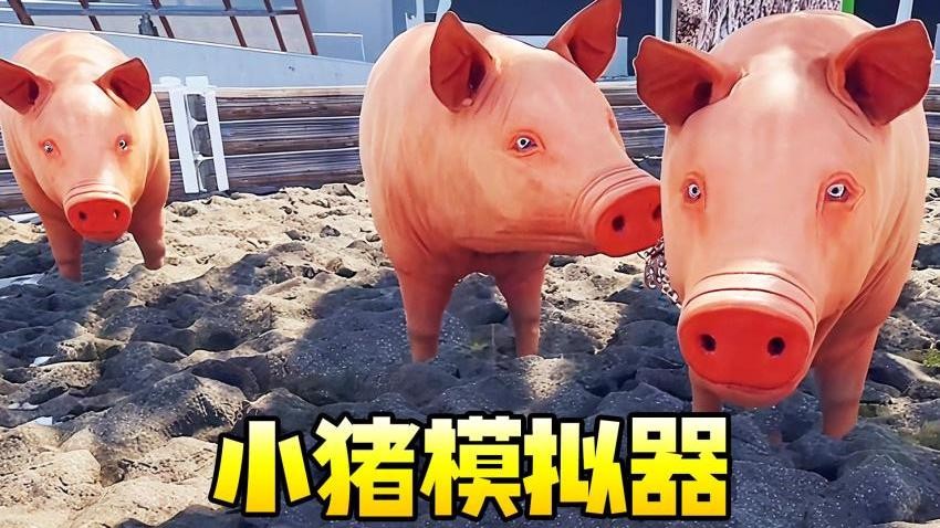 小猪模拟器1游戏v1.0 1