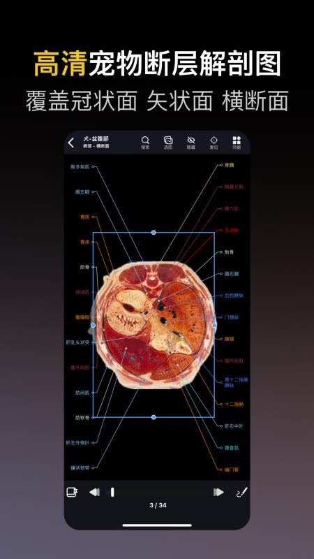兽医解剖图谱最新版v2.0.0 5