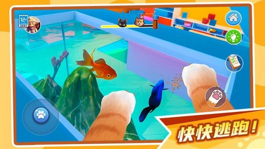 肥猫大暴走游戏v1.0.1 5