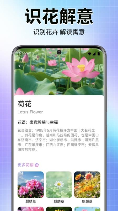 轻漫岛时光最新版v1.1(2)
