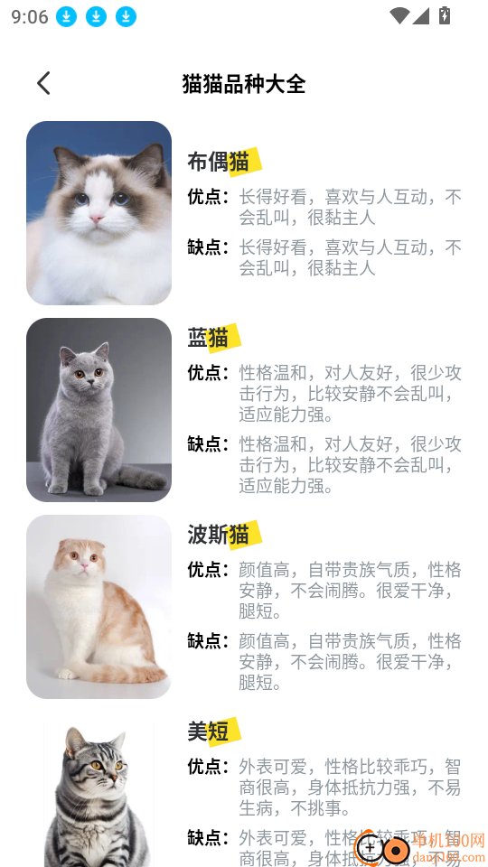 猫咪抓鱼逗猫最新版