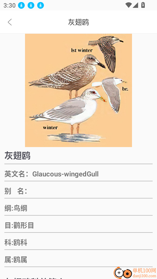 鸟语翻译器prt客户端