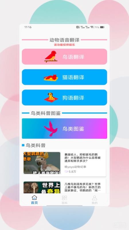 鸟语翻译器prt客户端v1.0(4)
