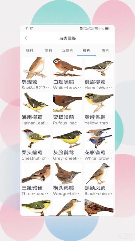 鸟语翻译器prt客户端v1.0(2)