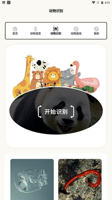 动物世界i免费版v2.3(2)