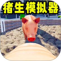 小猪的日常游戏 v1.1