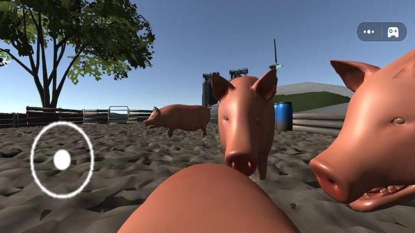 小猪的日常游戏v1.1 4