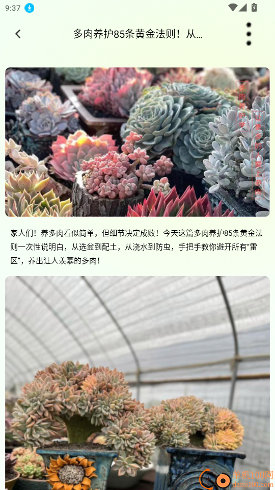 花朵物语官方版