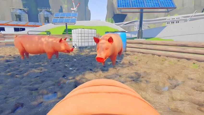 小猪的日常游戏v1.1 1