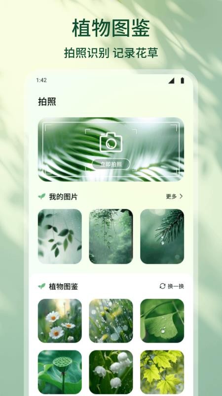 花朵物语官方版v1.1(2)