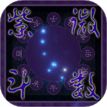 紫微斗数排盘官网版 v1.1