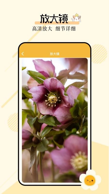 多功能小组件手机版v1.2(4)