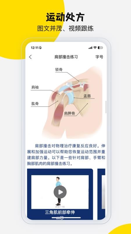 运动功能解剖教学系统app(第三人体)