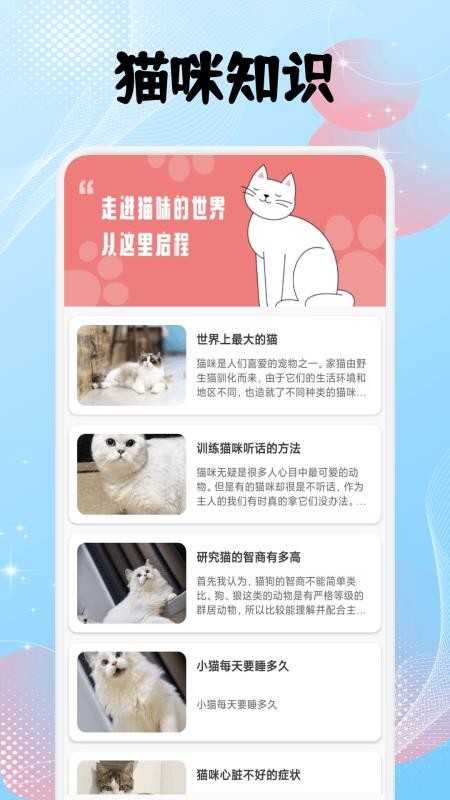 筑梦猫舍宠趣手机版v1.1(1)