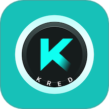 KRed水印专家官网版 v1.0.3