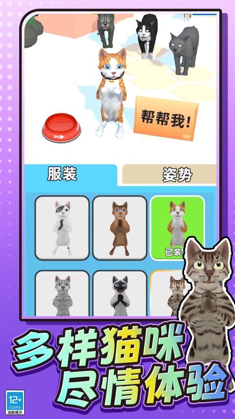 我是小猫猫游戏v1.251014.169 5