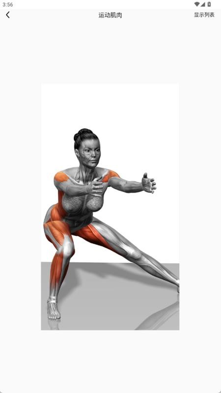 疼痛触发图谱最新版v1.0.0(1)