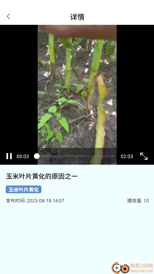 金粒实农服官网版