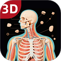 3D人体解剖图官方版 v1.0.3