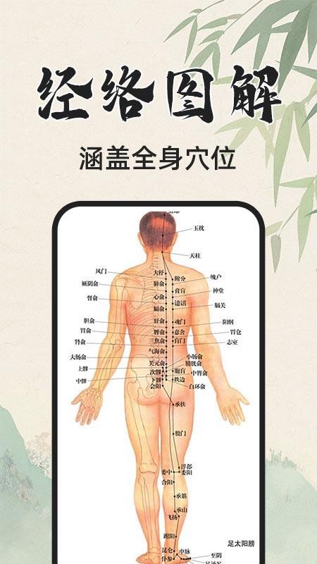 3D人体解剖图官方版