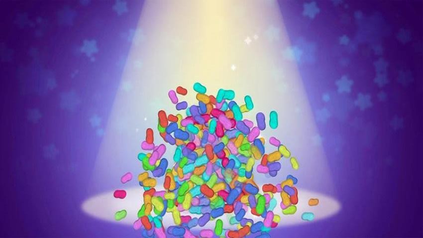 宠物养成日记2游戏