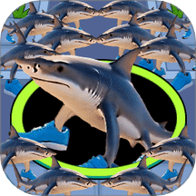 黑洞海底猎杀游戏 v1.0.0