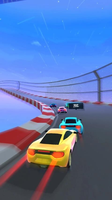 王牌赛车驾驶游戏v1.0.0 1