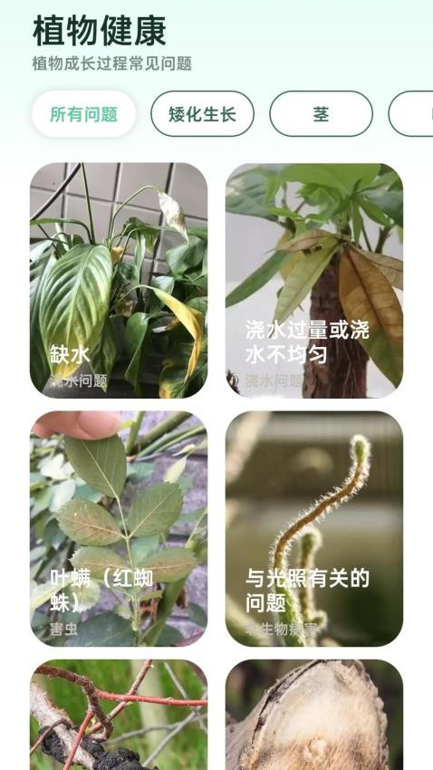 爱馨花园最新版v1.0.0(4)