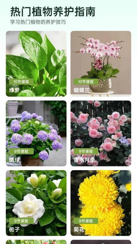 爱馨花园最新版v1.0.0(2)