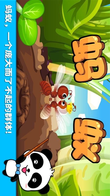 宝宝认蚂蚁手机版v9.89.99.00(1)