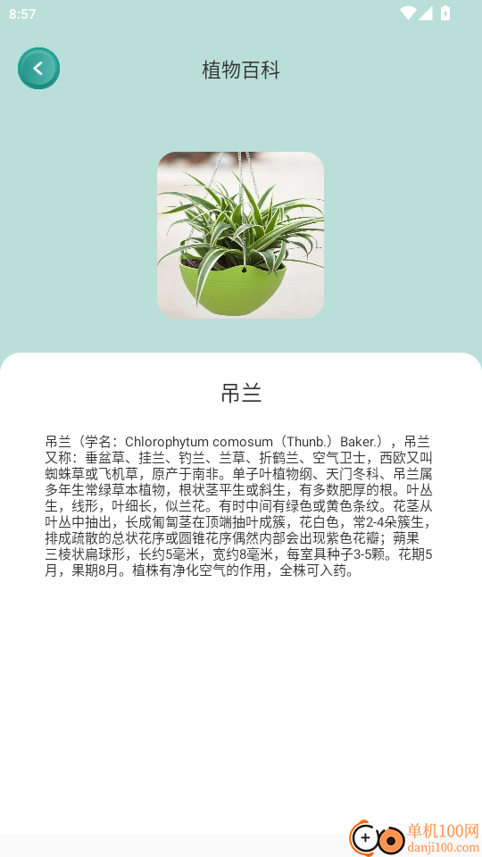 花草秒识别官网版